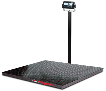 Rice Lake RoughDeck® Rough-n-Ready System, Floor Scale and 381 Indicator
